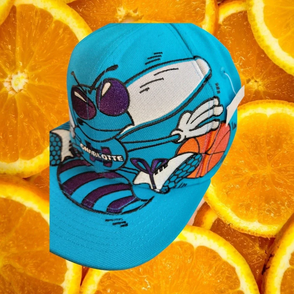 Mitchell & Ness charlotte hornets